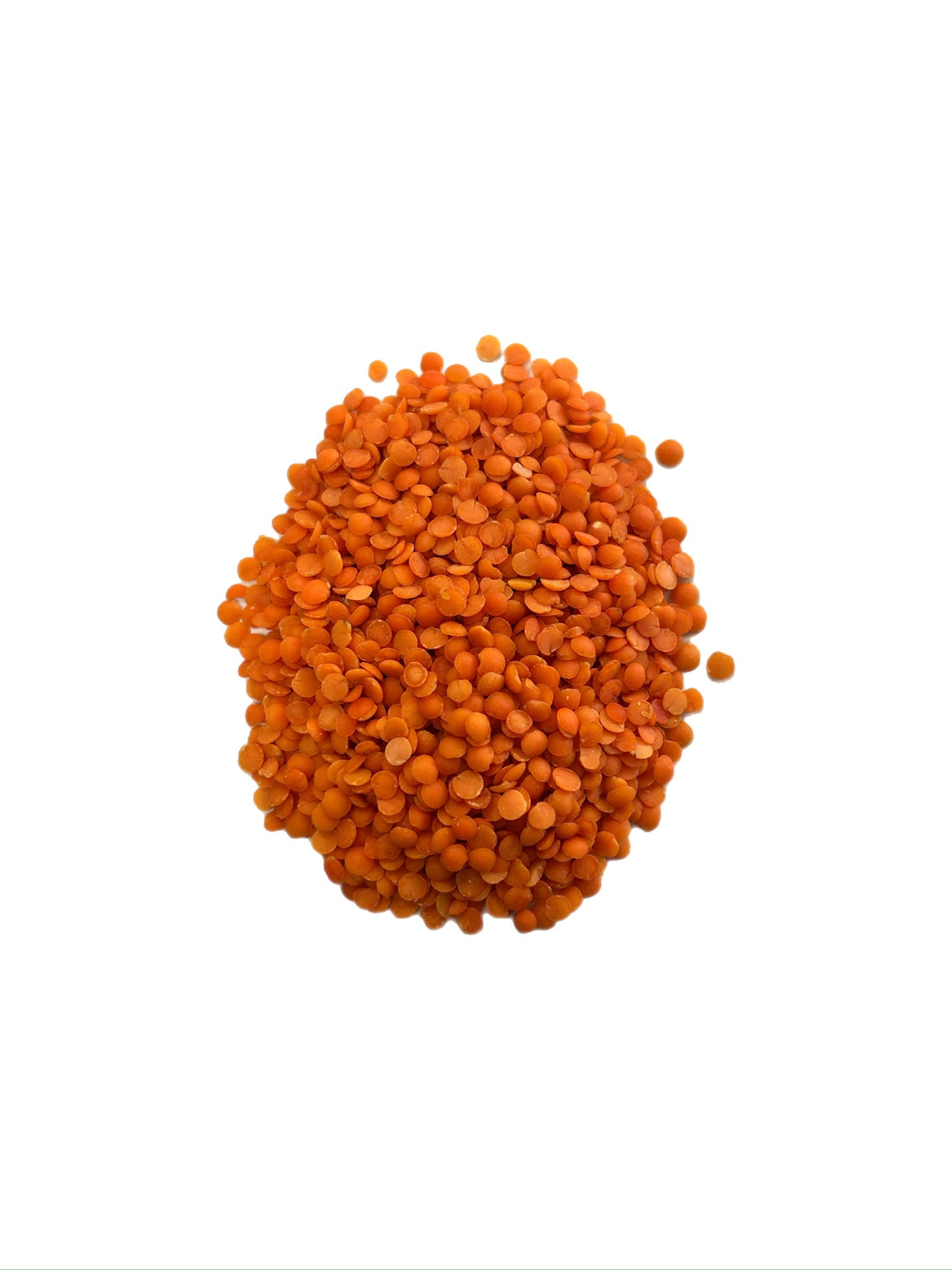 Organic Red Lentils