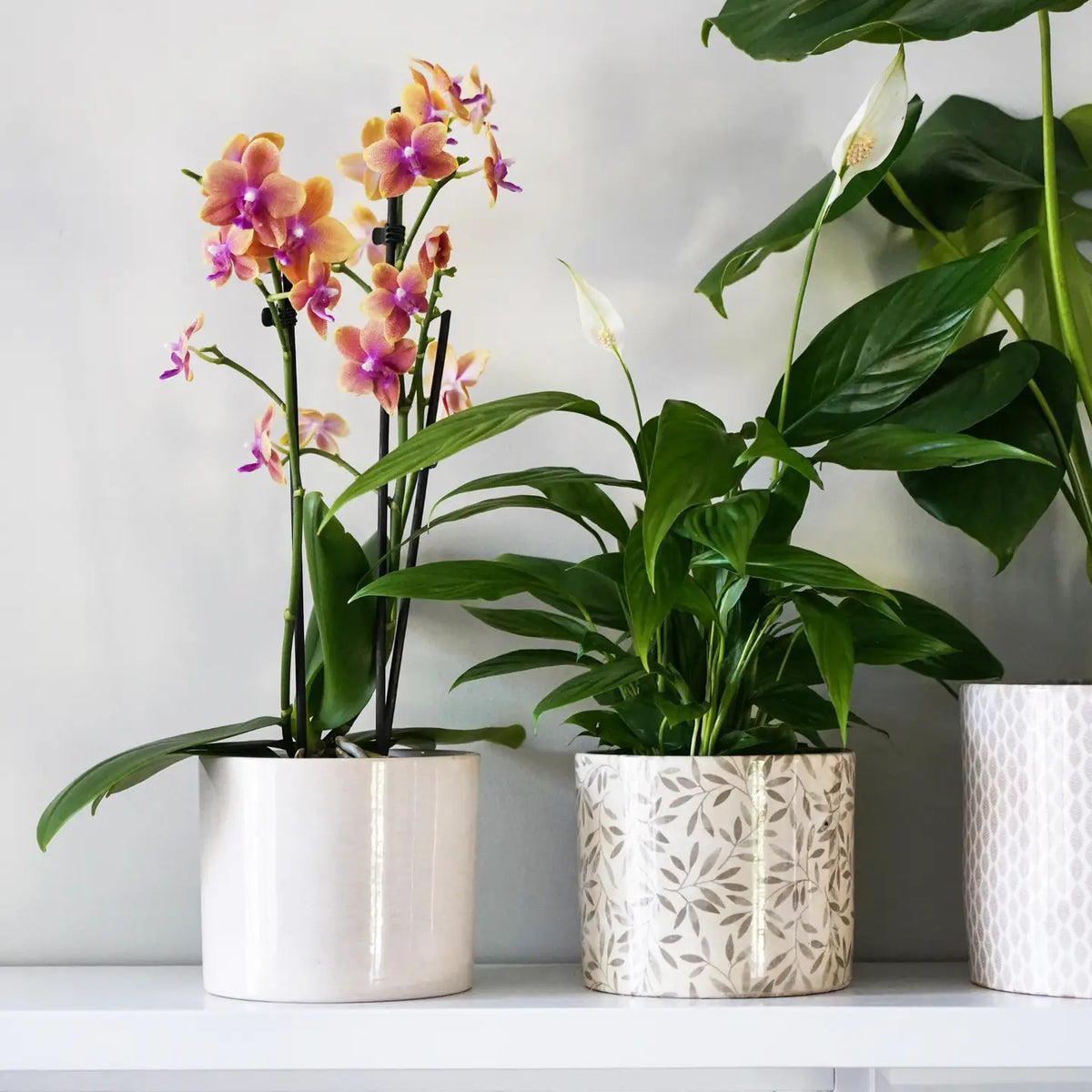 Large Green Leaf Pot