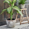Large Rustic Pot