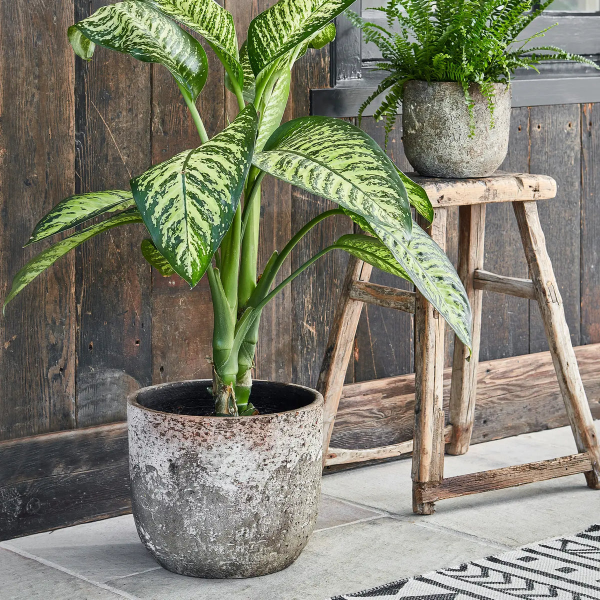 Large Rustic Pot
