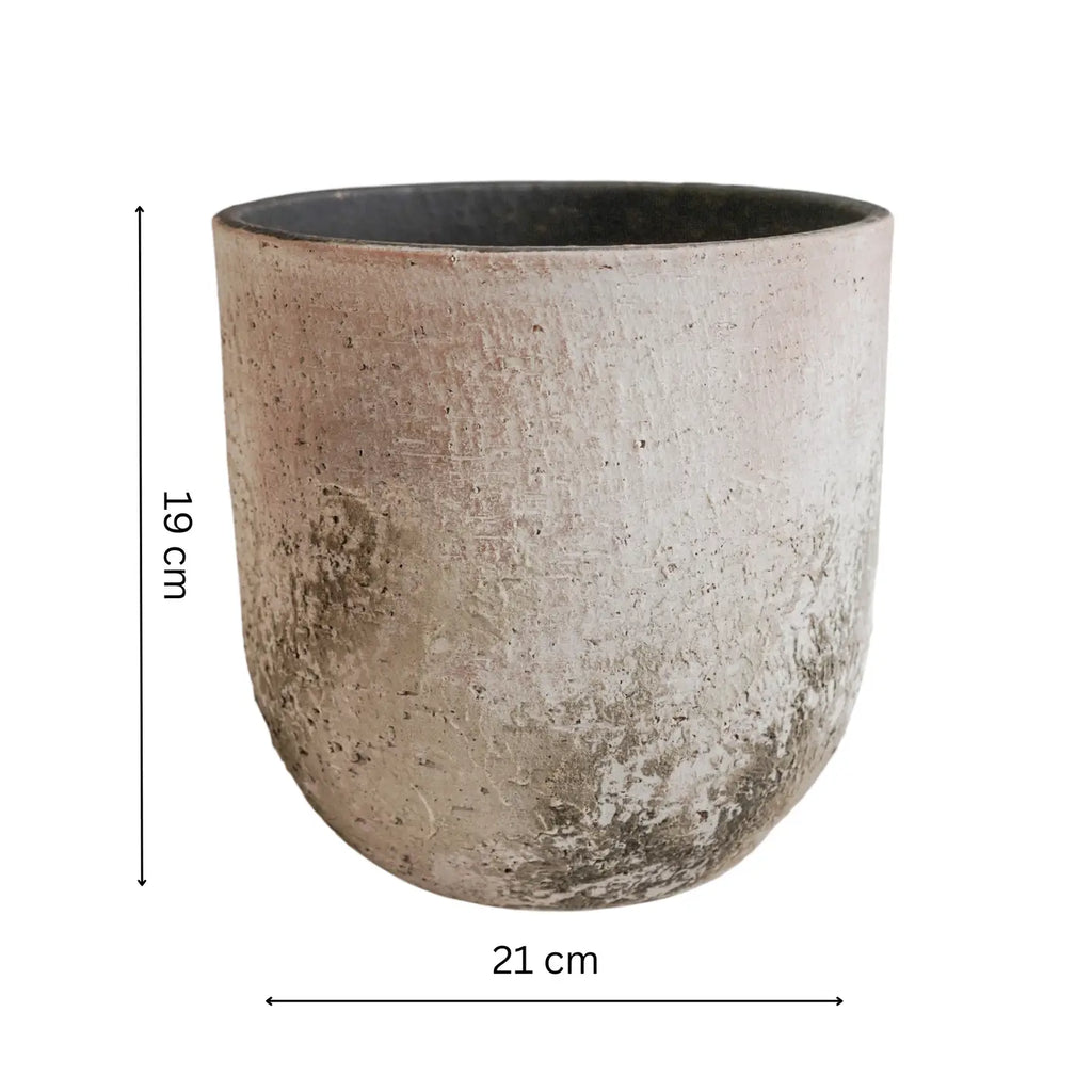 Large Rustic Pot