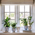 Monzo Vintage Bird Pot