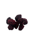 Freeze Dried Blackberries