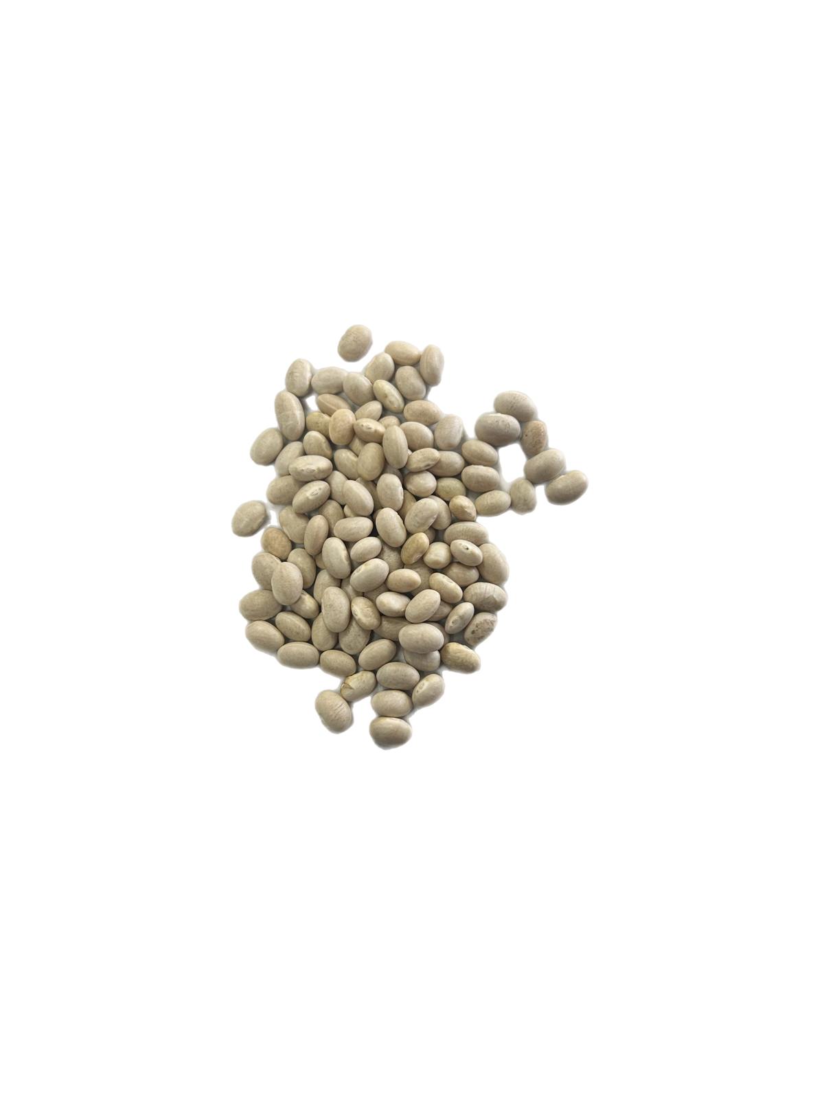 Organic Haricot Beans